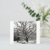 ツリーベッドフォードオークニューヨークシティ ポストカード (スタンド正面)