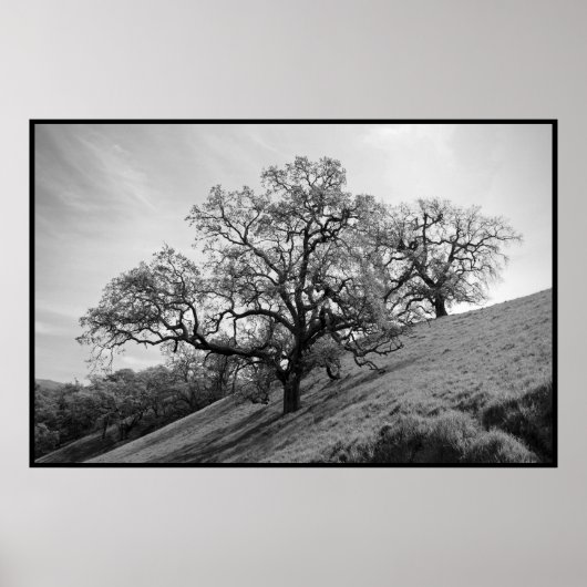 ツリーポエトリープリント ポスター (正面)