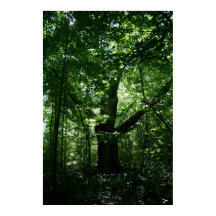 ツリーポスター