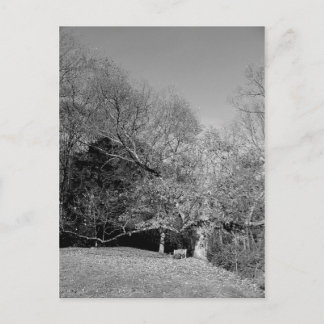 ツリーポストカードの下のベンチ ポストカード