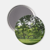 ツリーマグネット マグネット (正面/裏面)