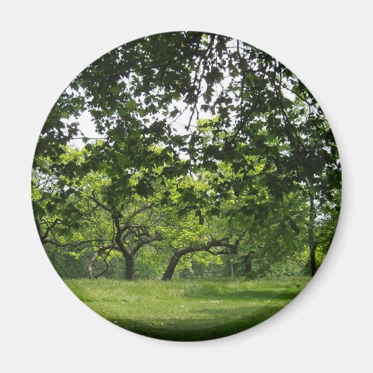 ツリーマグネット マグネット (正面)