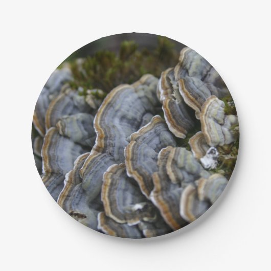 ツリーマッシュルーム写真紙プレート ペーパープレート (正面)