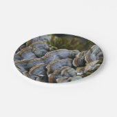 ツリーマッシュルーム写真紙プレート ペーパープレート (アングル)