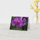 ツリーマロー グリーティングカード (黄色い花)