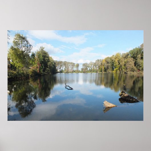 ツリーラインレイク ポスター (正面)