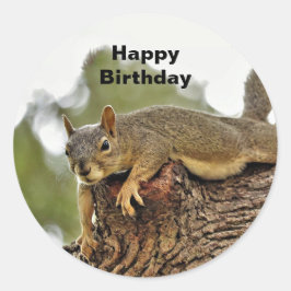 ツリーリクライニングリス誕生日 ラウンドシール