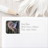 ツリーリスの宛名ラベル ラベル (インサイチュ)