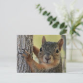 ツリーリスを使用したポストカード ポストカード (スタンド正面)