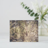 ツリーレイヤデジタルアート ポストカード (スタンド正面)