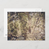 ツリーレイヤデジタルアート ポストカード (正面/裏面)