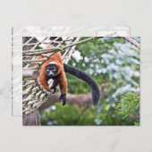 ツリー上のお金 ポストカード (正面/裏面)