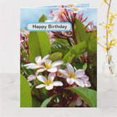 ツリー上のピンクスプレンダー、ピンクフランジパニ開花 カード (黄色い花)