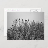 ツリー上部のカラス –  ポストカード (正面/裏面)
