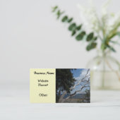 ツリー付きオーシャユニークンビュー 名刺 (スタンド正面)