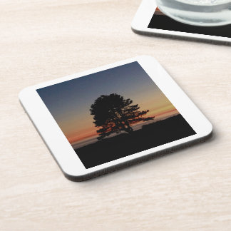 ツリー付き6基の耐久性のあるコルクバックコースターのセット コースター