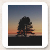 ツリー付き6基の耐久性のあるコルクバックコースターのセット コースター (正面)