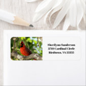 ツリー内の赤い（鳥）ショウジョウコウカンチョウ ラベル (インサイチュ)