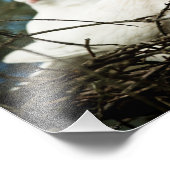 ツリー内の3 フォトプリント            (角)