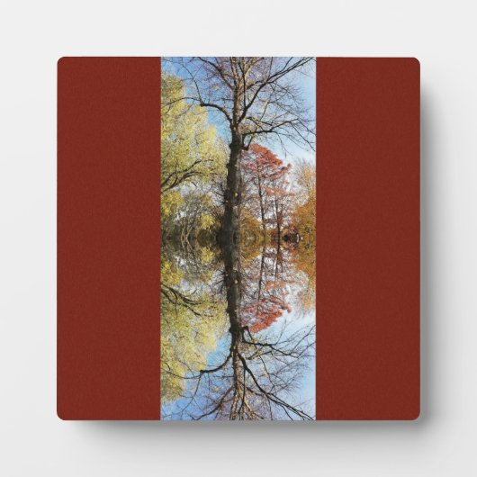 ツリー写真のミラー フォトプラーク (正面)