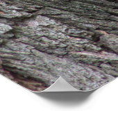 ツリー写真ポスターのリス ポスター (角)