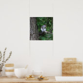 ツリー写真ポスターのリス ポスター (キッチン)