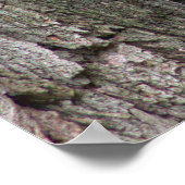 ツリー写真ポスターのリス ポスター (角)