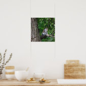 ツリー写真ポスターのリス ポスター (キッチン)