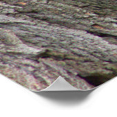 ツリー写真ポスターのリス ポスター (角)