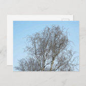 ツリー分岐インクスケッチ ポストカード (正面/裏面)