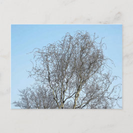 ツリー分岐インクスケッチ ポストカード