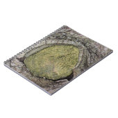 ツリー分岐スタブのクローズアップ ノートブック (左側)