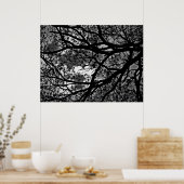 ツリー分岐写真 ポスター (キッチン)