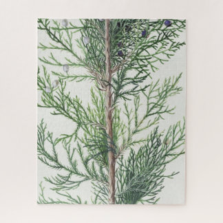 ツリー分岐離れの不可 ジグソーパズル