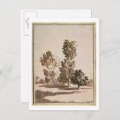 ツリー勉強(ペンとインクの紙) ポストカード (正面/裏面)