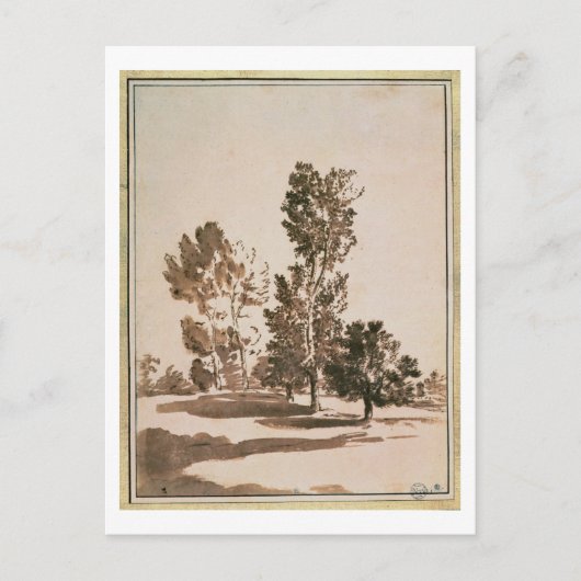 ツリー勉強(ペンとインクの紙) ポストカード (正面)