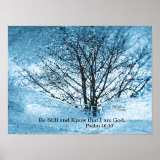 ツリー反射ポスター ポスター