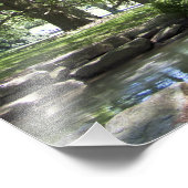 ツリー春20インチx 16インチフォトプリント フォトプリント            (角)