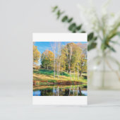 ツリー樺の木バーモント ポストカード (スタンド正面)