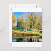 ツリー樺の木バーモント ポストカード (正面/裏面)