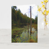 ツリー水の湿地の風景 カード (黄色い花)
