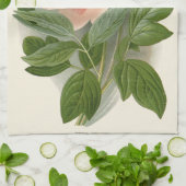 ツリー牡丹 – エレガントヴィンテージ植物学デザイン キッチンタオル (折り畳み)