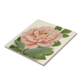 ツリー牡丹 – エレガントヴィンテージ植物学デザイン タイル (側面)