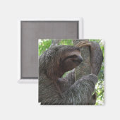 ツリー登山スースクエアマグネット マグネット (正面/裏面)