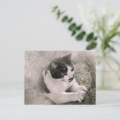 ツリー登山猫 |抽象芸術 |水彩 ポストカード (スタンド正面)