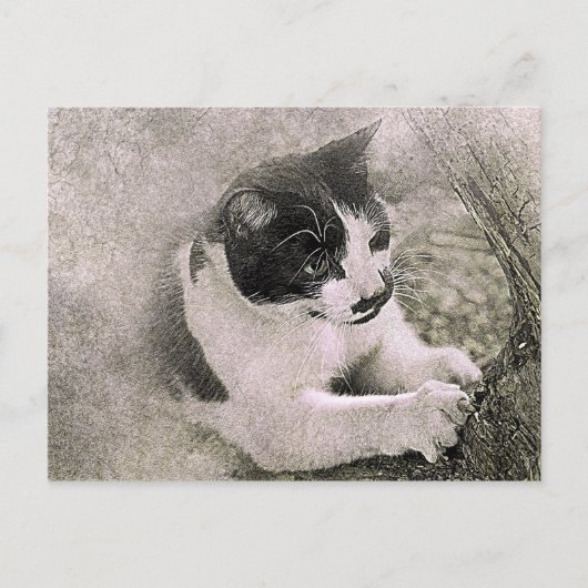 ツリー登山猫 |抽象芸術 |水彩 ポストカード (正面)
