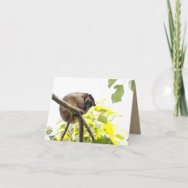 ツリー空白のカンガルーのグリーティングカード カード