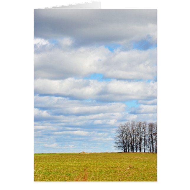 ツリー行の末尾 (正面)