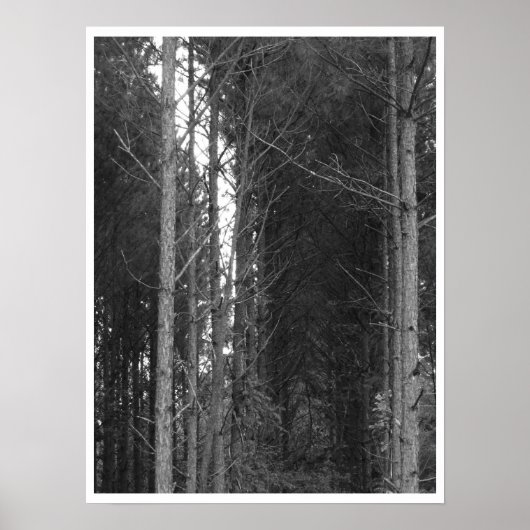 ツリー行 ポスター (正面)