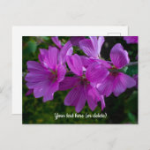 ツリー許可はがき ポストカード (正面/裏面)